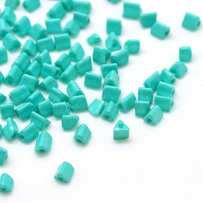 Opaque Glass Seed Beads SEED-R030-B06-1