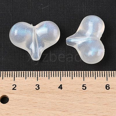 Transparent Acrylic Beads TACR-F009-03-1