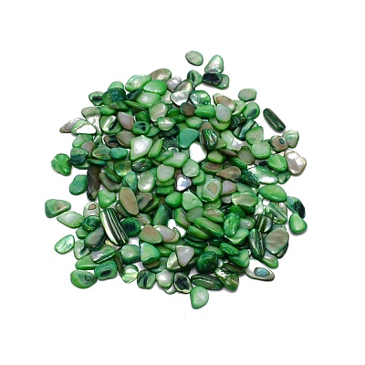 Natural Shell Beads BSHE-WH0001-06-1