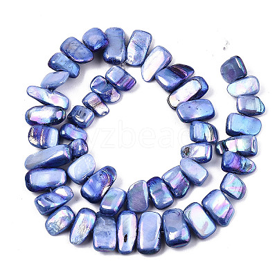 Natural Freshwater Shell Beads Strands X-SHEL-N026-123G-1