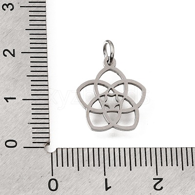 304 Stainless Steel Charms SA-CBA4CE0-09P-1