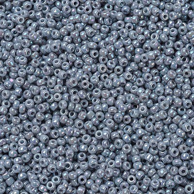 MIYUKI Round Rocailles Beads X-SEED-G007-RR0489-1