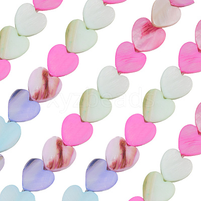 2 Strands Macaron Color Natural Shell Beads Strands SHEL-SC0001-88B-1