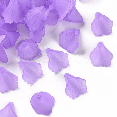 Transparent Acrylic Bead Caps PL551-C08-1