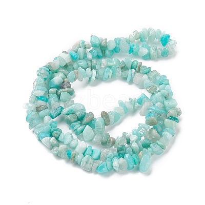 Natural Exotic Amazonite Chips Beads Strands F070-1-1