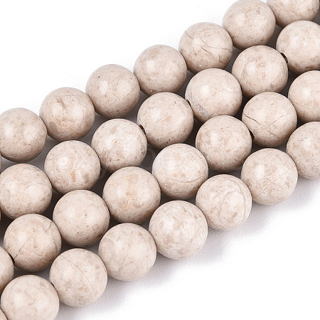 Dyed Natural Fossil Beads Strands G-T139-6mm-66A-1