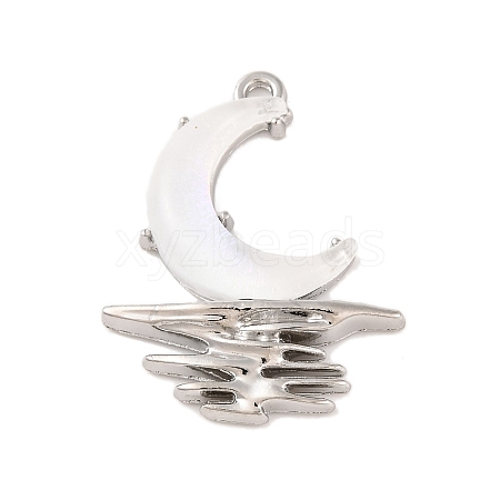 Alloy & Resin Pendants FIND-G081-01E-P-1