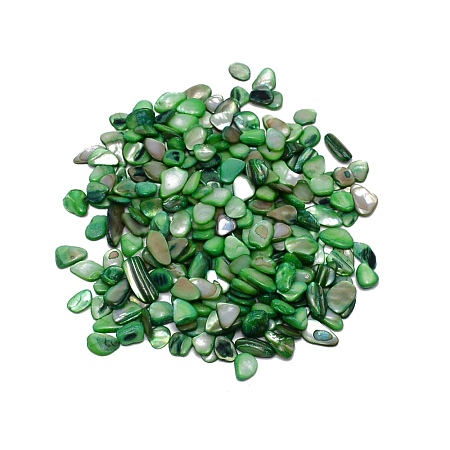 Natural Shell Beads BSHE-WH0001-06-1