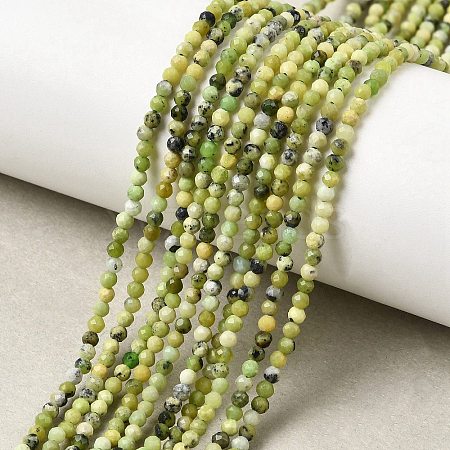 Natural Serpentine Beads Strands G-P603-C-2mm-06-1