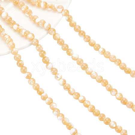  Natural Trochid Shell/Trochus Shell Beads Strands SSHEL-NB0001-34-1