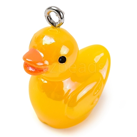 Animal Theme Resin Pendants RESI-S010-04B-1