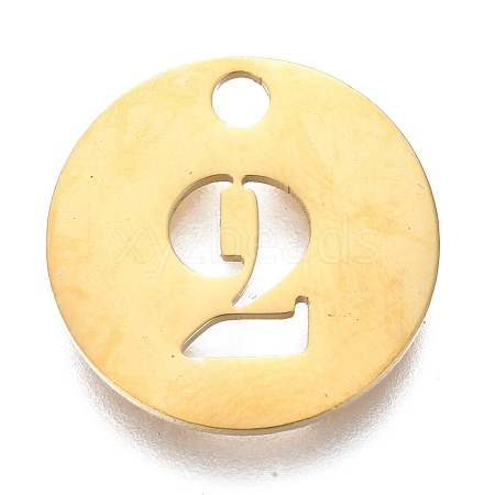 304 Stainless Steel Pendants STAS-F233-02-G-1