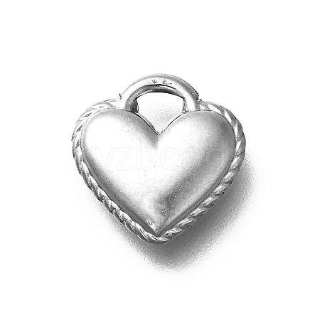 304 Stainless Steel Charms STAS-D288-04P-1