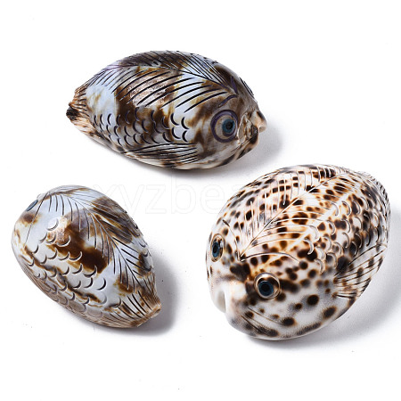 Printed Natural Cowrie Shell Beads SSHEL-Q314-002-1