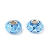 Lampwork & Brass Core European Beads LAMP-P019-01P-21-1