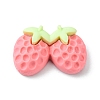 Opaque Resin Imitation Food Decoden Cabochons RESI-R436-05C-1