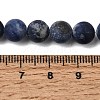 Natural Sodalite Beads Strands X-G-Q462-8mm-07-6