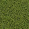 Baking Paint Glass Seed Beads SEED-S001-K9-2