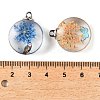 Transparent Glass Pendants GLAA-M048-06-3