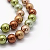 Electroplate Shell Pearl Beads Strands X-BSHE-G018-02-10mm-3