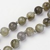 Labradorite Beaded and Gemstone Beaded Necklaces NJEW-P148-02-5