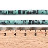 Dyed Synthetic Turquoise Beads Strands G-Z089-A04-H-6