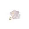 Frosted Acrylic Charms PALLOY-JF03325-01-5