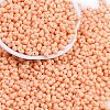 Baking Paint Glass Seed Beads X1-SEED-K010-A14-1