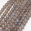Natural Grey Agate Beads Strands G-G580-10mm-08-1