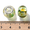 Transparent Two-Color Brass Cores Acrylic European Beads OACR-M024-05P-04-3