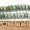 Natural Turquoise Beads Strands G-I378-B03-02-5