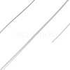 Non-Tarnish 10 Rolls 304 Stainless Steel Wire X-TWIR-H001-01F-P-2