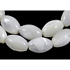 Natural Trochid Shell/Trochus Shell Beads Strands X-PBB513Y-1