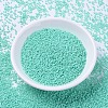 MIYUKI Delica Beads SEED-J020-DB2122-3