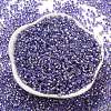 Glass Seed Beads SEED-S042-04A-08-2