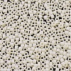 MIYUKI Delica Beads Small X-SEED-J020-DBS0883-3