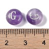 Natural Amethyst Beads G-L524-20G-03-3