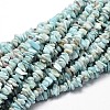 Chip Natural Larimar Bead Strands G-M349-09-2