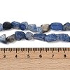 Natural Kyanite Beads Strands G-Q060-D17-5