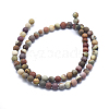 Natural America Picture Jasper Beads Strands G-I213-20-6mm-2