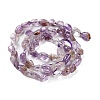 Natural Purple Lodolite Quartz Beads Strands G-P497-01C-32-3