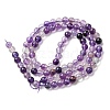 Natural Fluorite Beads Strands G-E598-02A-2