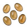 Glass Cabochons GLAA-C031-01C-1