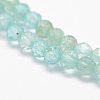 Natural Apatite Beads Strands G-F460-41-3