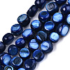 Natural Freshwater Shell Beads Strands SHEL-S276-110B-02-1