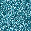 TOHO Round Seed Beads SEED-JPTR11-0023F-2