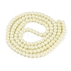 Baking Paint Glass Pearl Beads Strands DGLA-ZX001-05A-04-2