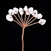 Natural Howlite Display Decorations PW-WG3C0D9-02-1