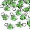 Faceted Transparent Glass Charms GLAA-T024-06G-1