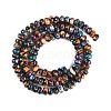 Natural Howlite Beads Strands G-A230-C01-02-3